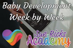 Baby Development Week by Week
